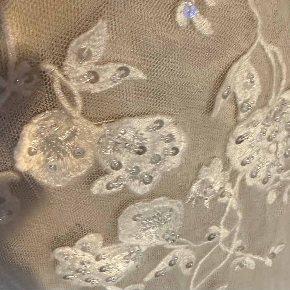 size 10 Enchanting by Mon Cheri Professionally dry cleaned in box. - Picture 10 of 10